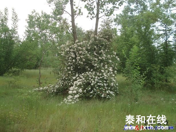 212244gdozwuu6dibyewg3.jpg