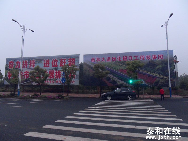 SDC17613.jpg
