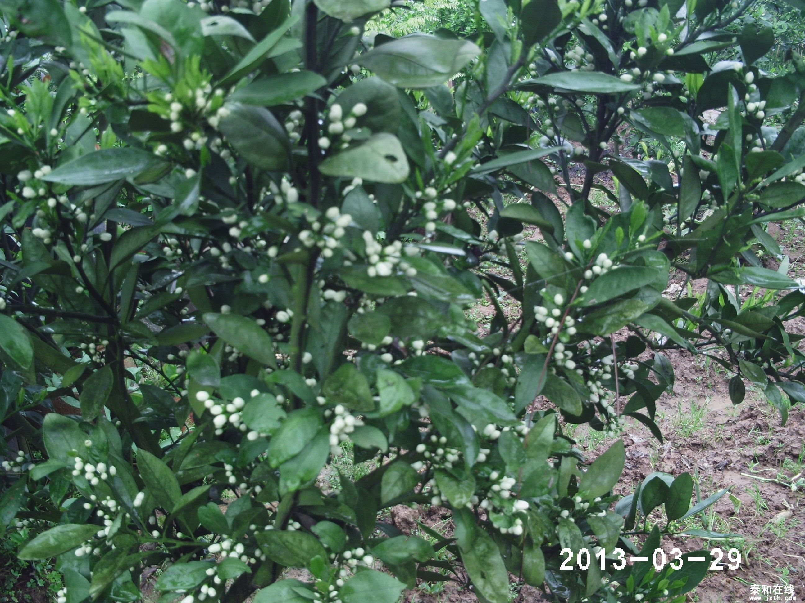 PHOT0008.JPG