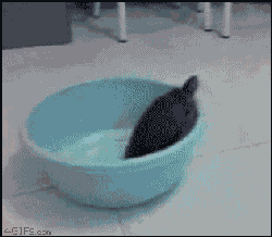 46e815bbjw1e31qyx28zyg.gif