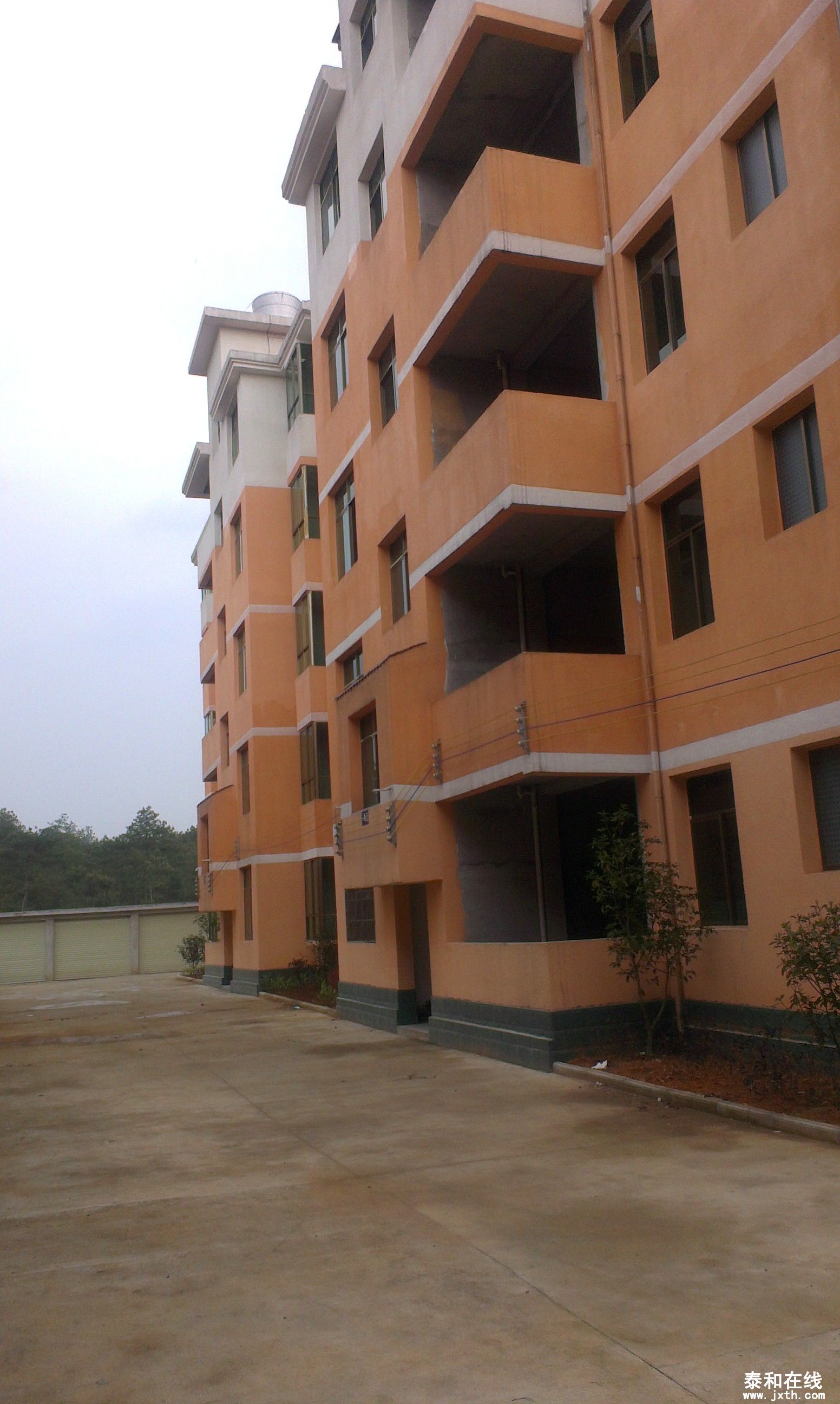 IMAG0028.jpg