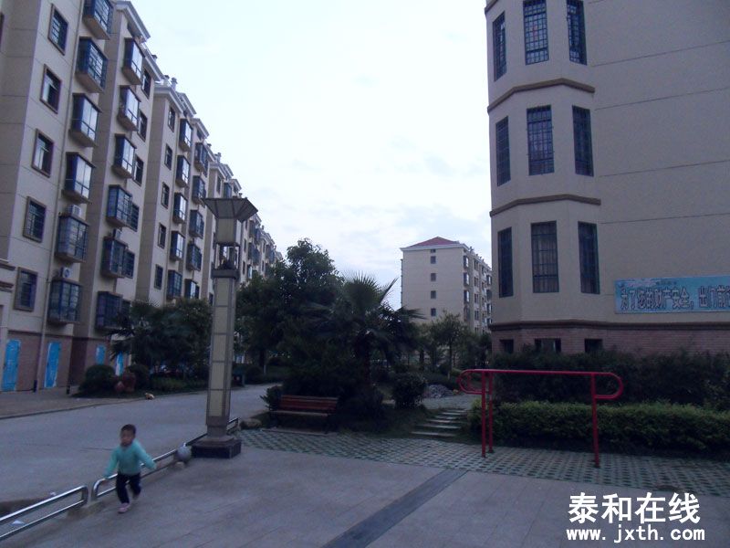 SDC17666.jpg