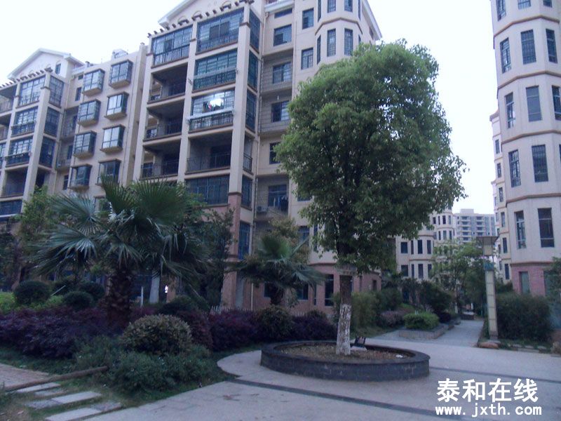 SDC17668.jpg