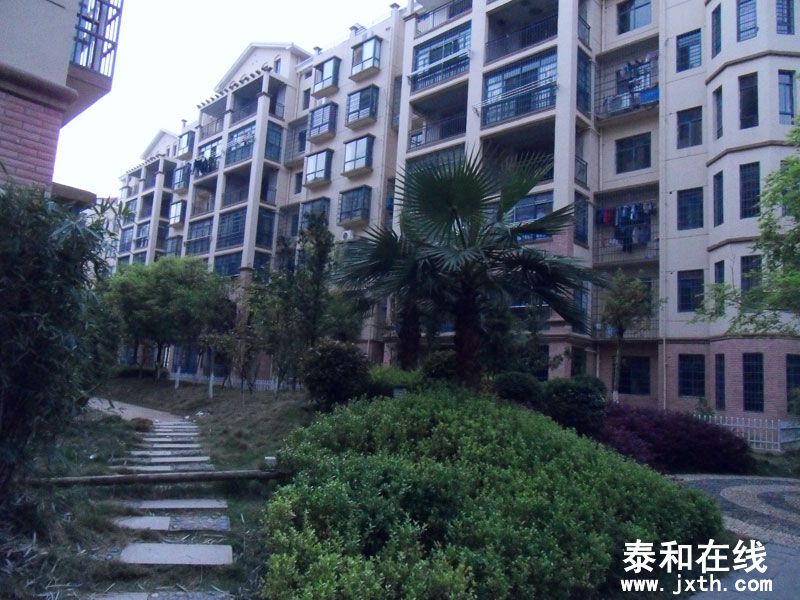 SDC17673.jpg
