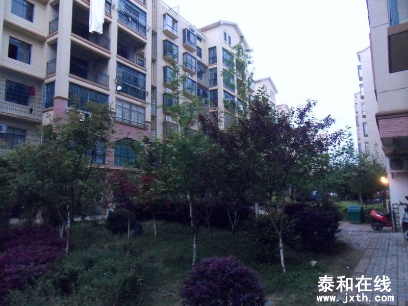 SDC17674.jpg