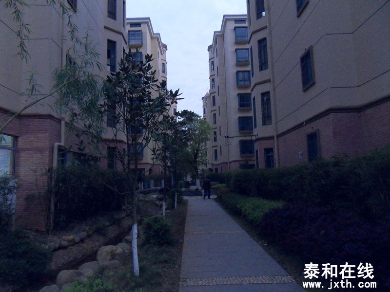 SDC17679.jpg