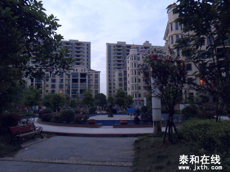 SDC17682.jpg