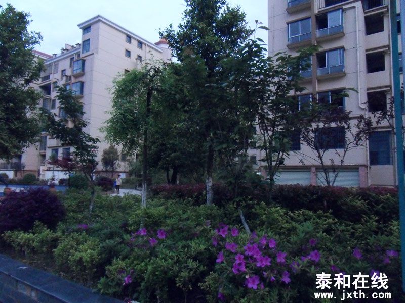 SDC17687.jpg