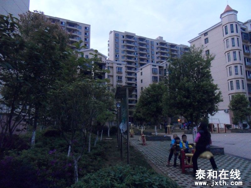 SDC17688.jpg