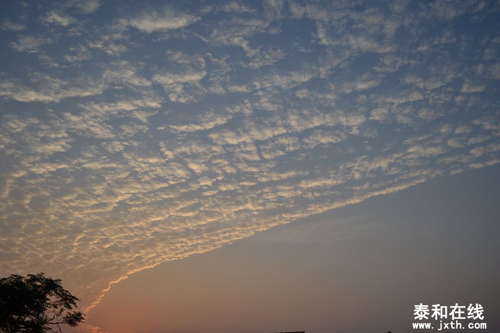 DSC_0710.jpg
