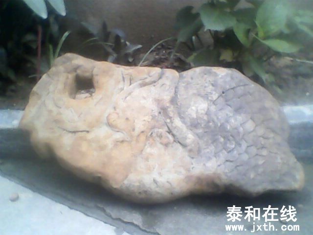 IMG0013A.jpg