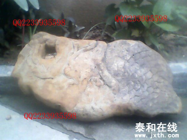 IMG0013A.jpg