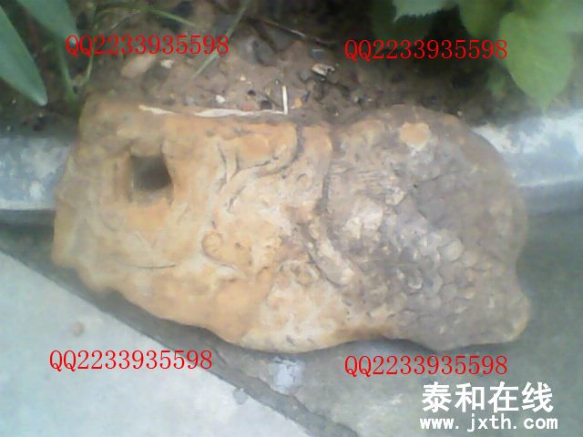 IMG0014A.jpg