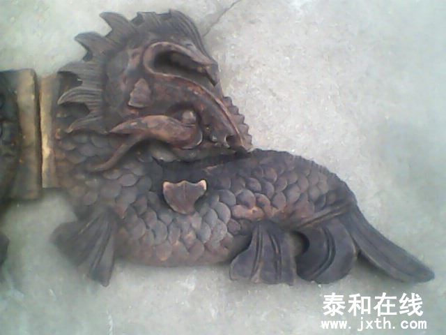 IMG0017A.jpg