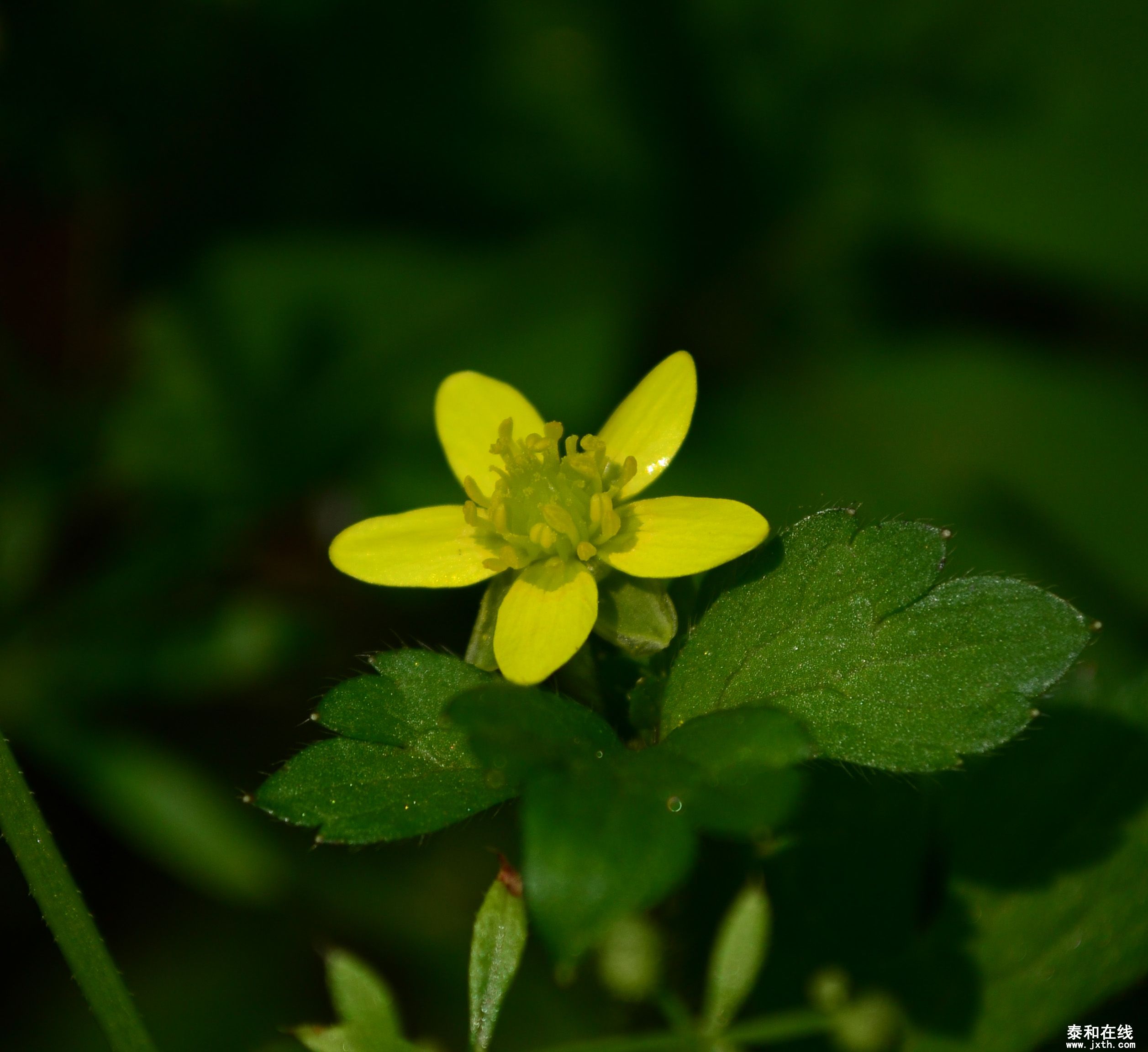 DSC_0280.jpg