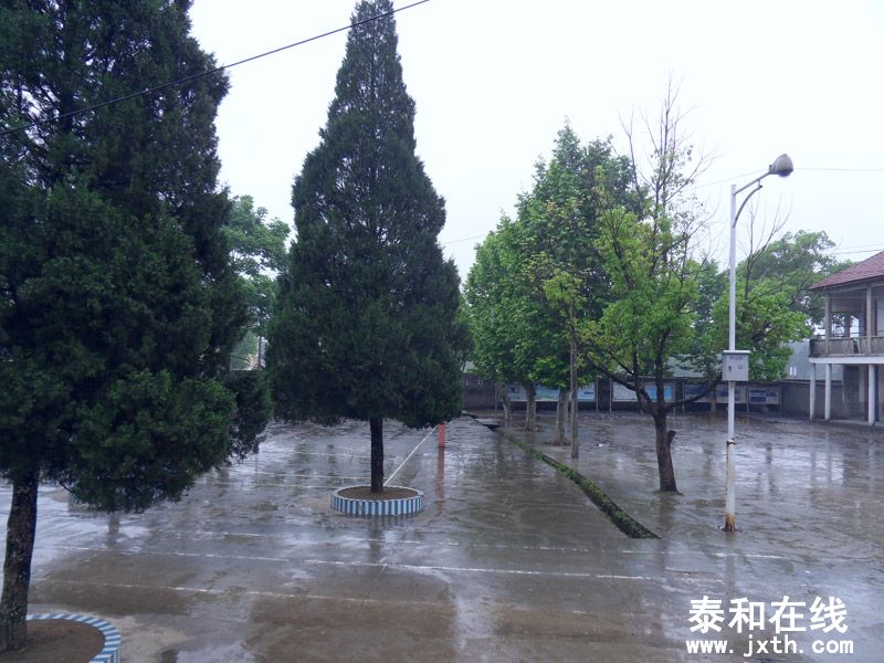 SDC17780.jpg