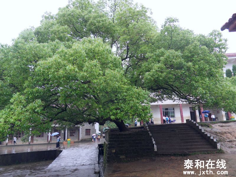 SDC17786.jpg