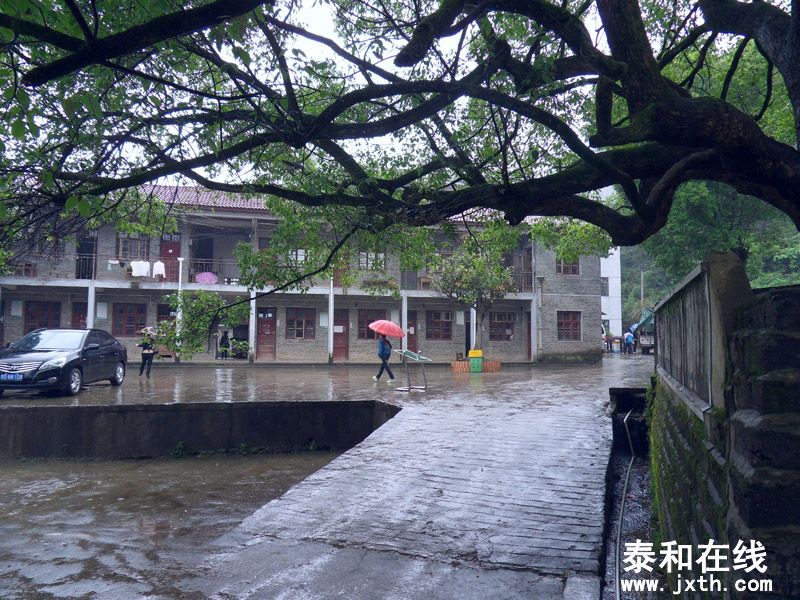 SDC17789.jpg