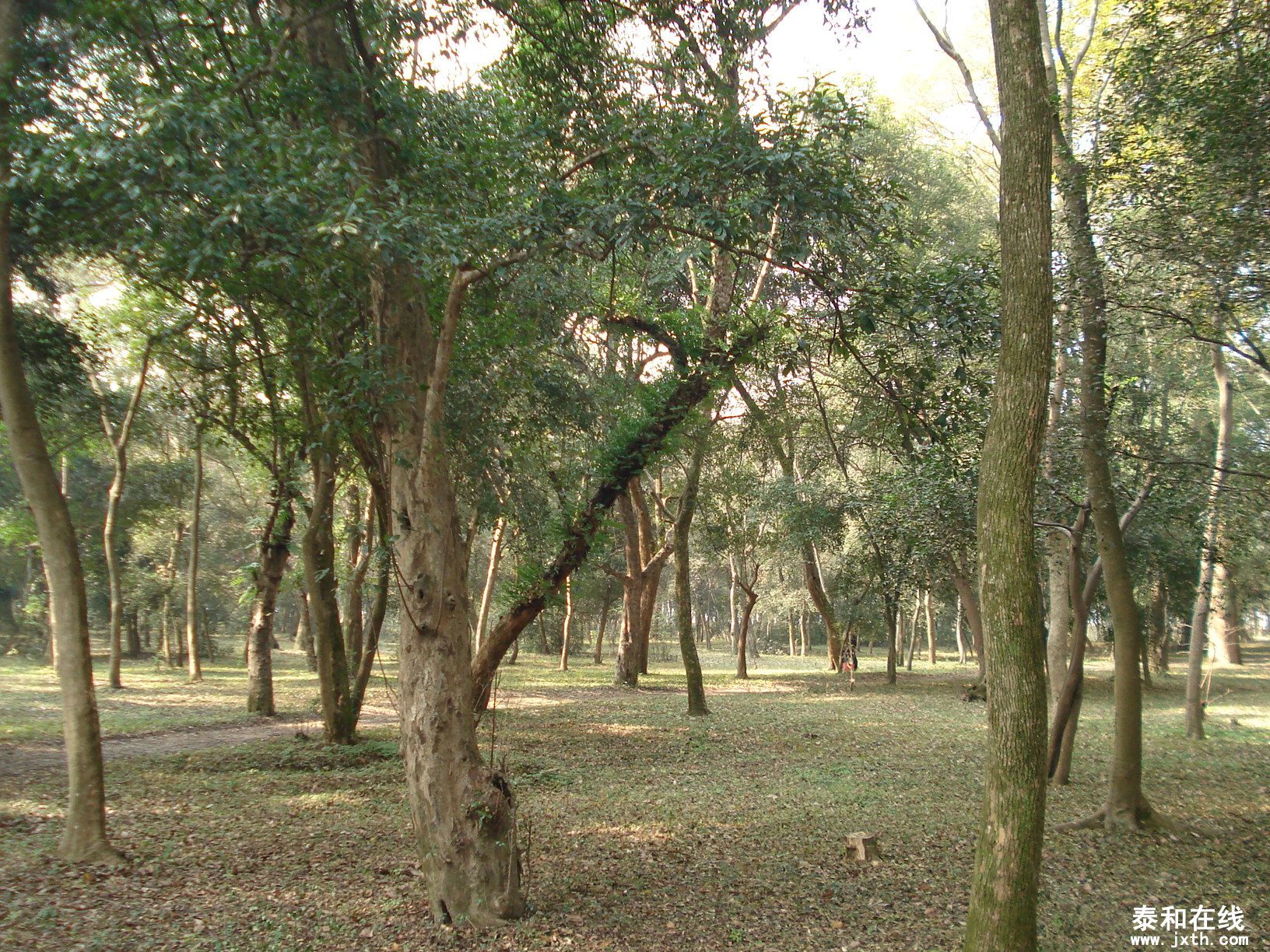 DSC08986.JPG