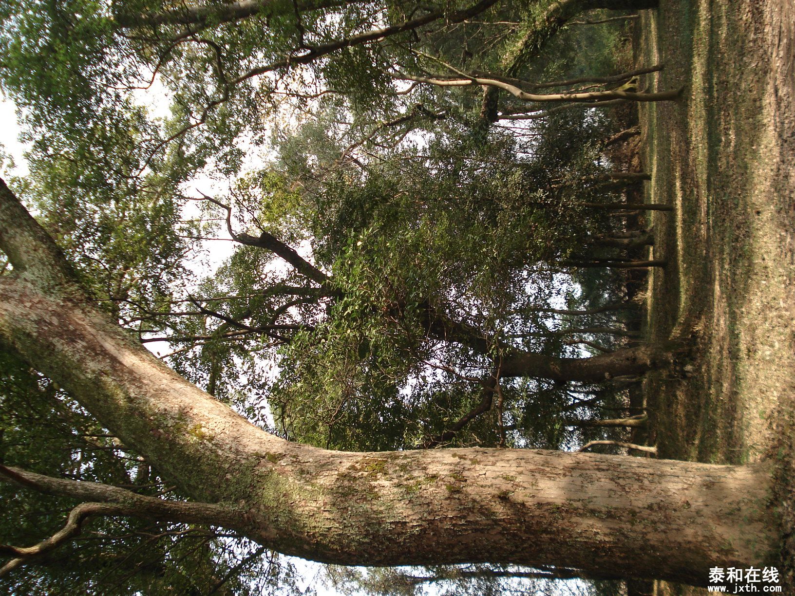 DSC08990.JPG