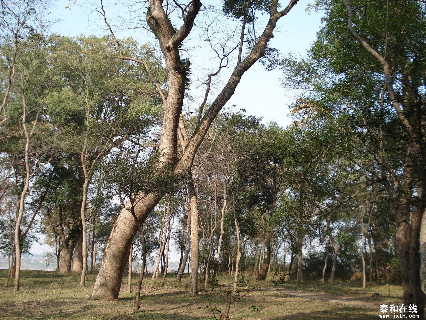 DSC08995.JPG