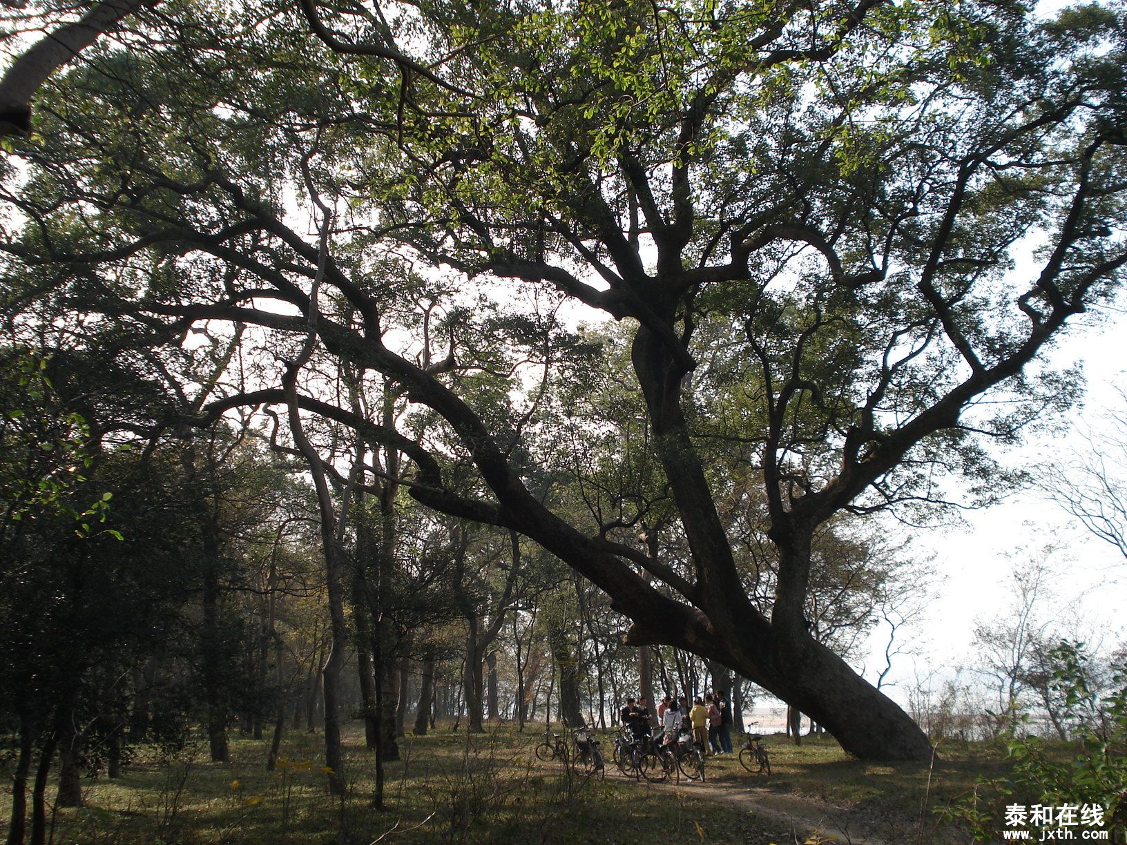 DSC09000.JPG