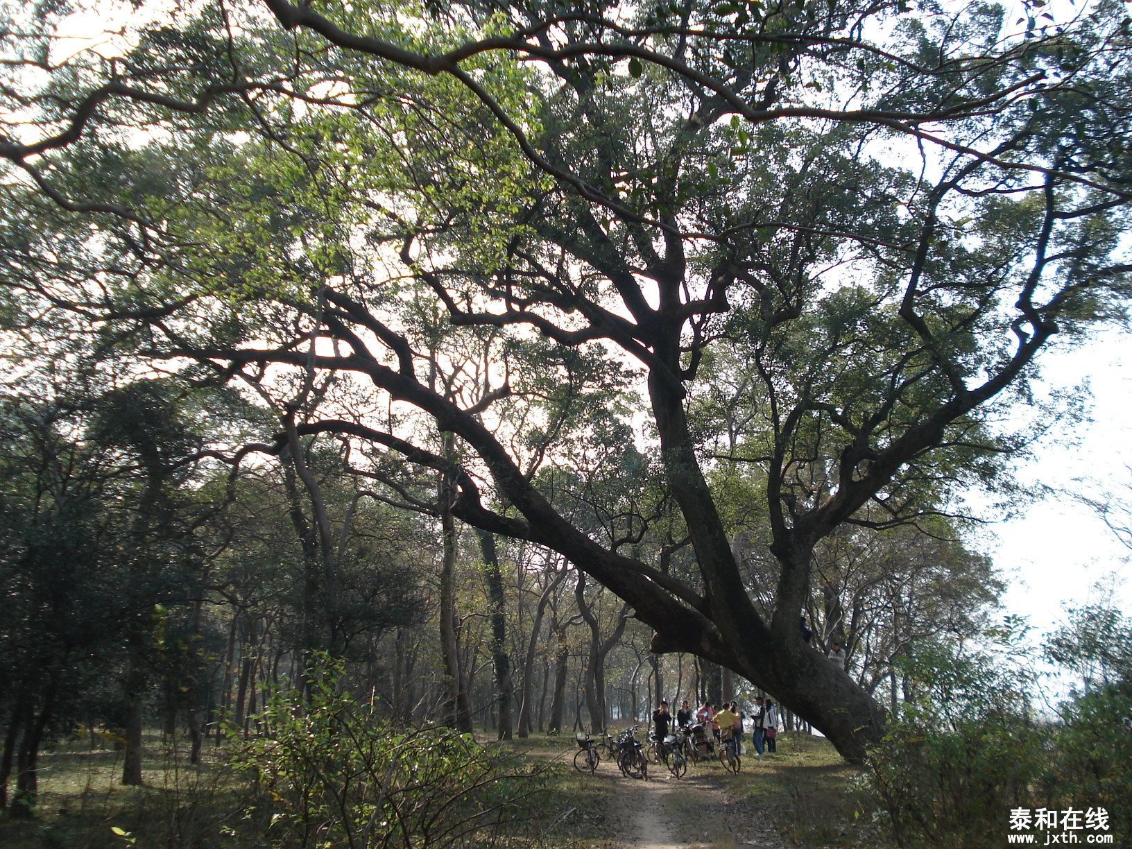 DSC09001.JPG