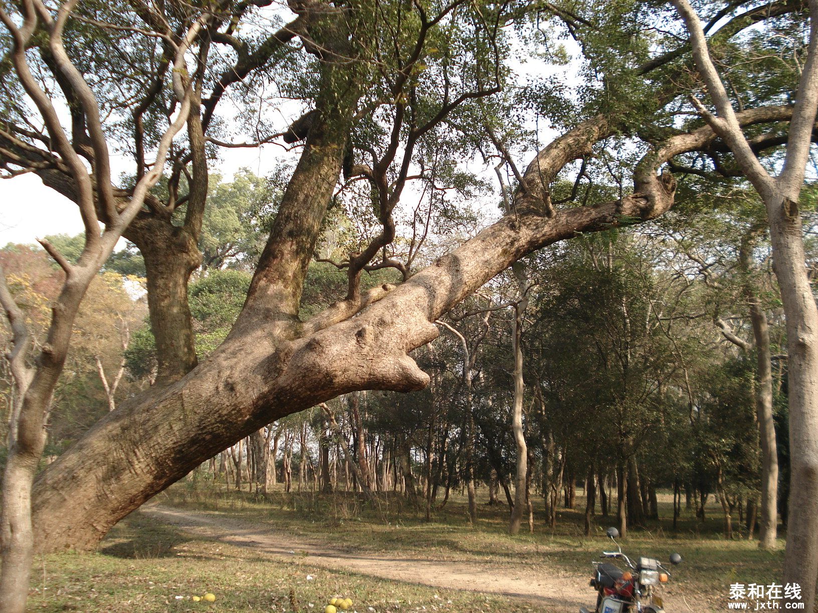 DSC09027.JPG