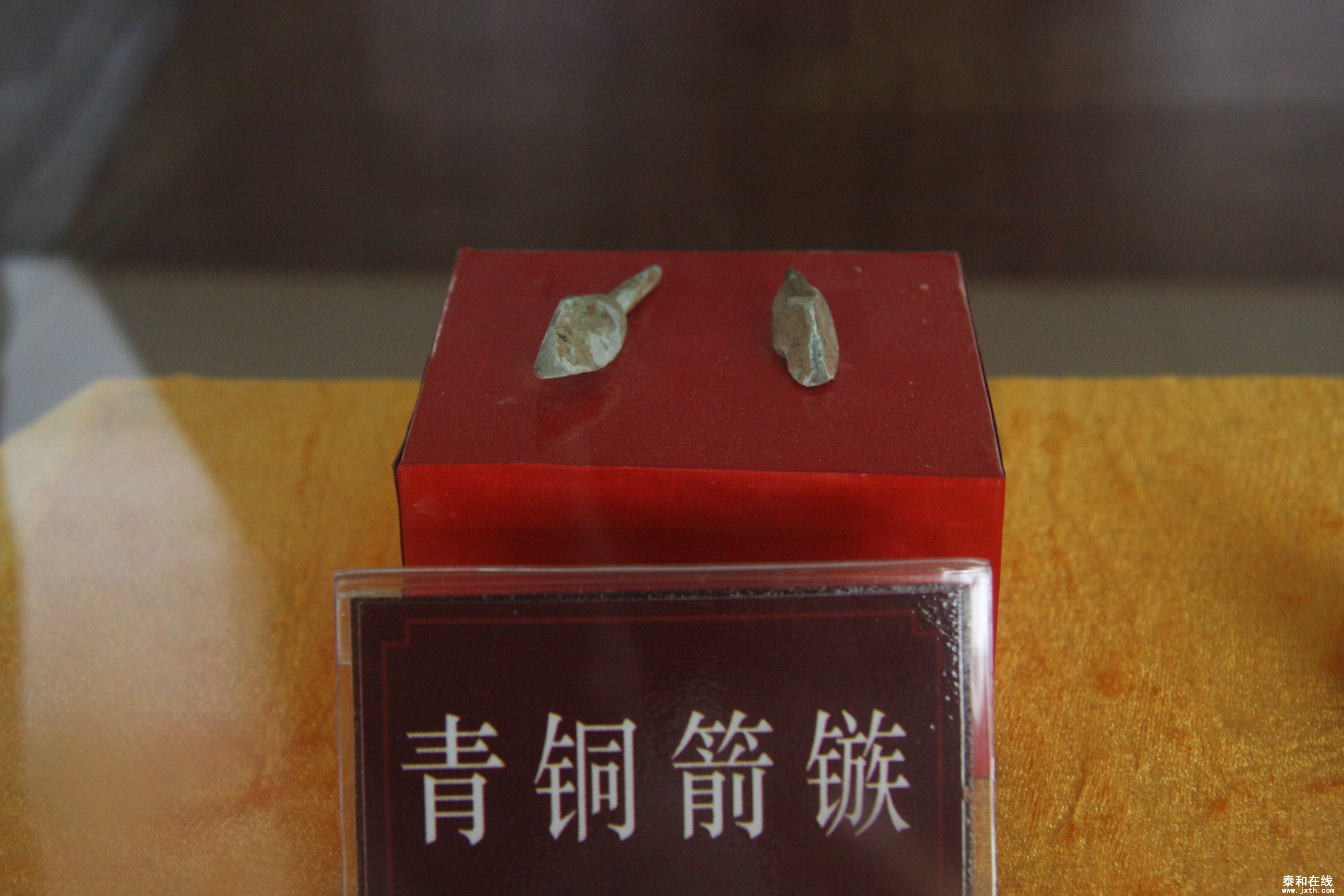 IMG_8380.jpg