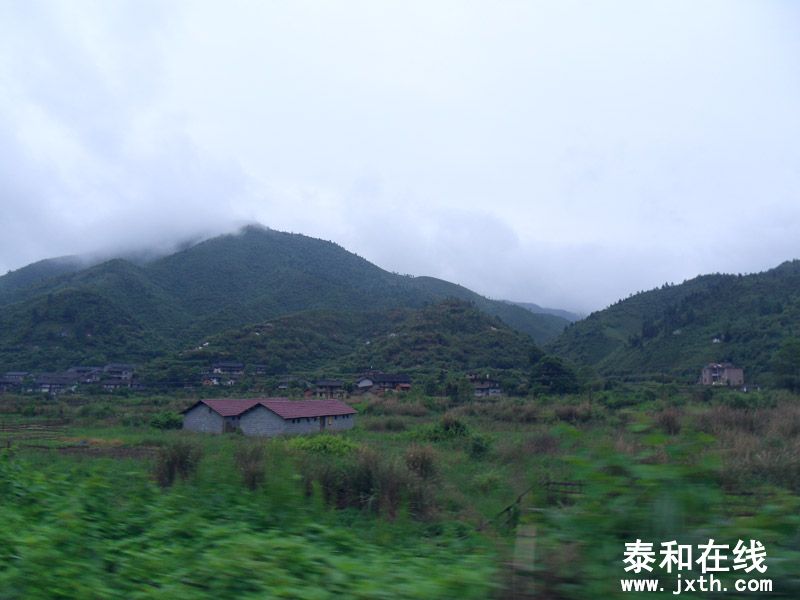 SDC17854.jpg