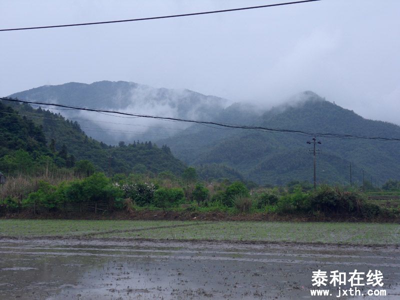 SDC17858.jpg
