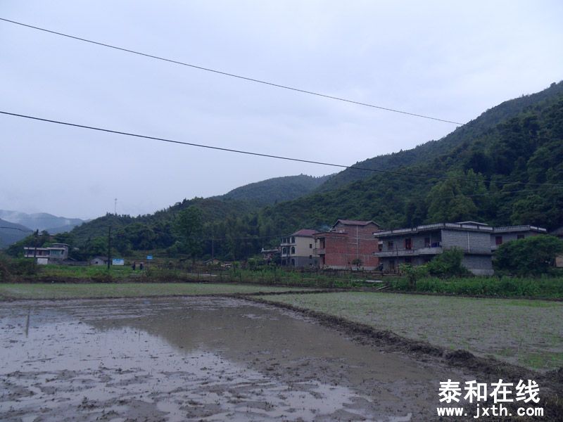 SDC17859.jpg
