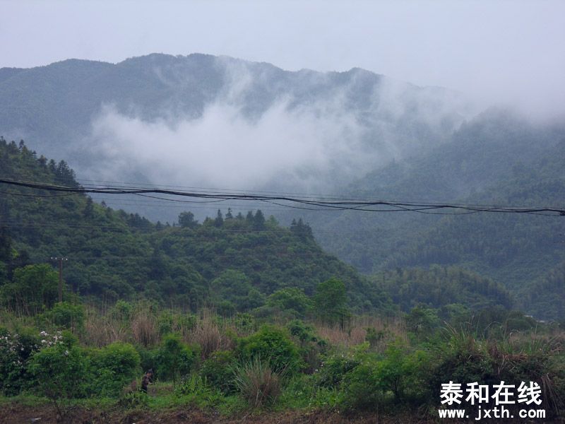 SDC17863.jpg