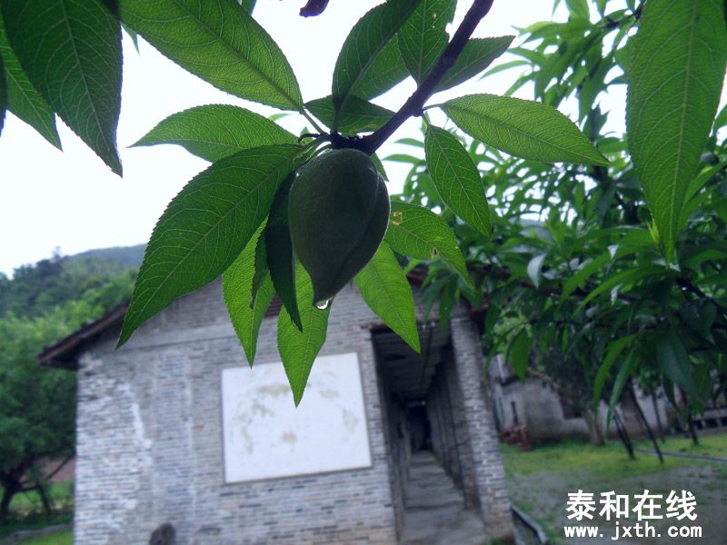 SDC17865.jpg