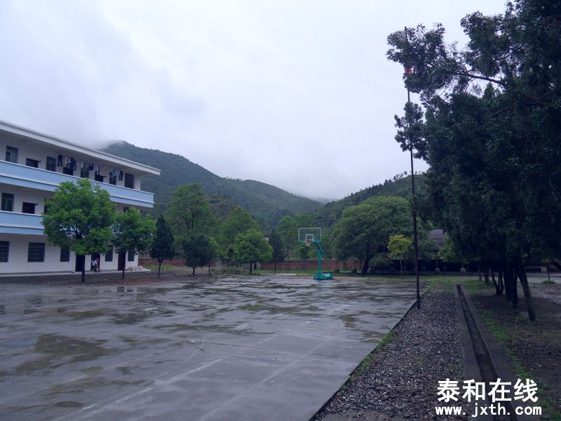 SDC17872.jpg