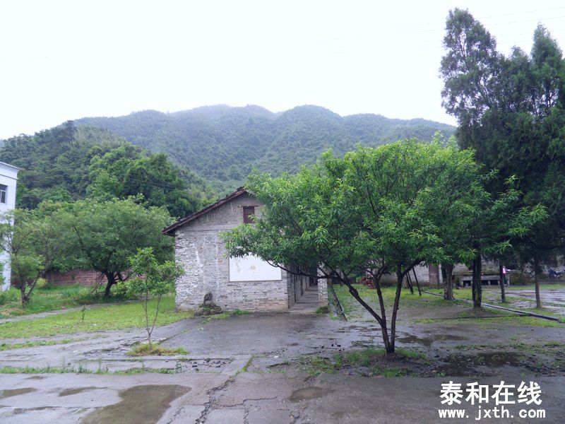 SDC17874.jpg