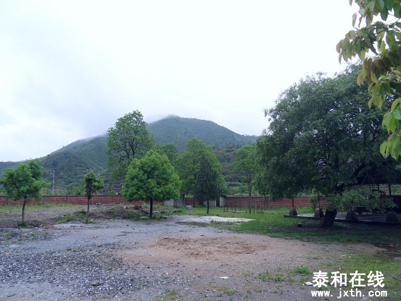 SDC17878.jpg