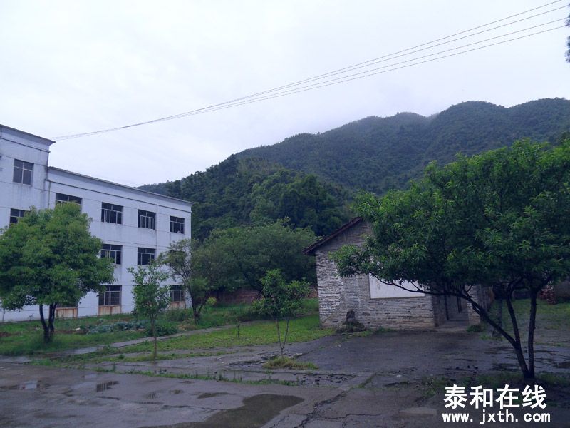 SDC17881.jpg