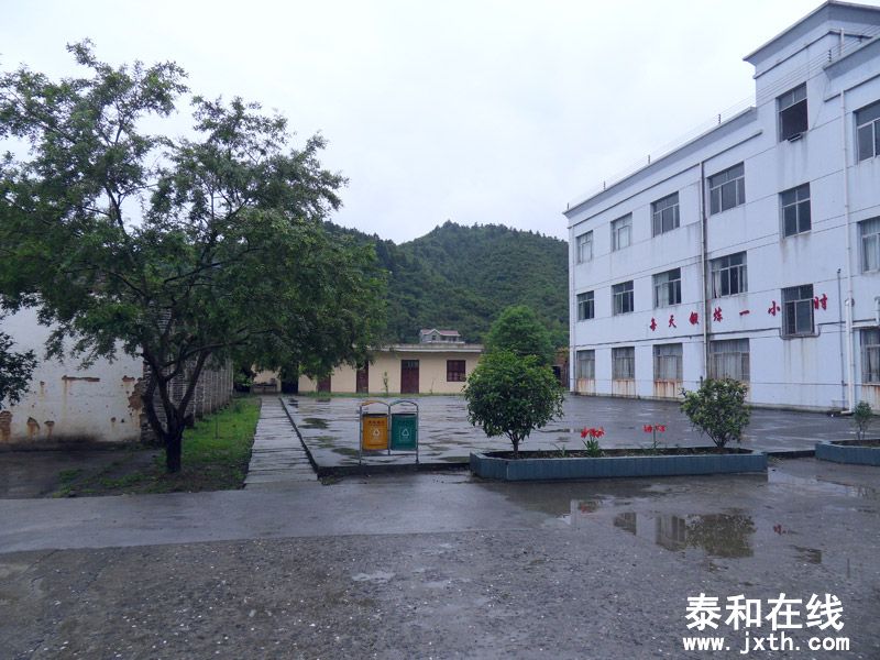 SDC17884.jpg