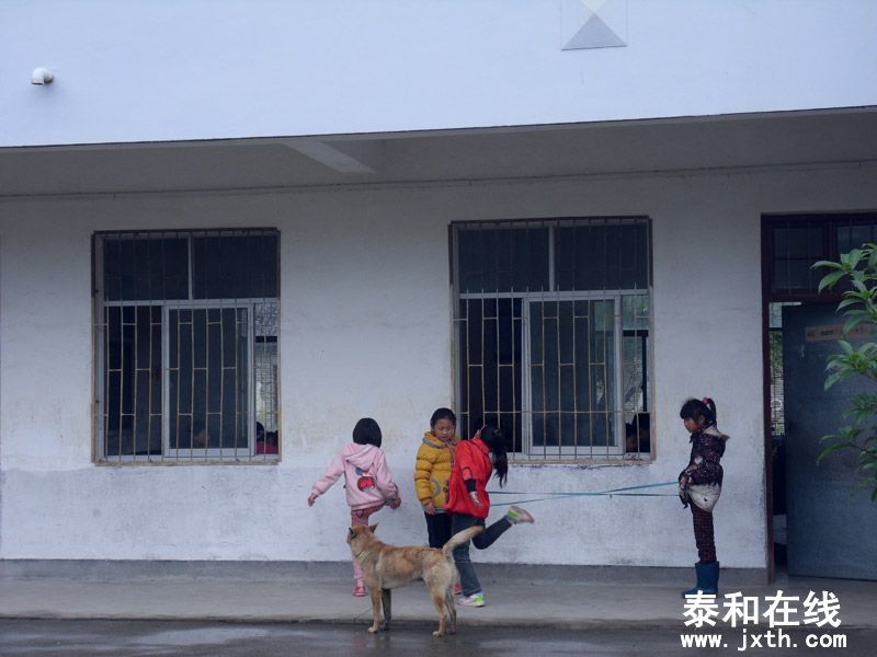 SDC17889.jpg
