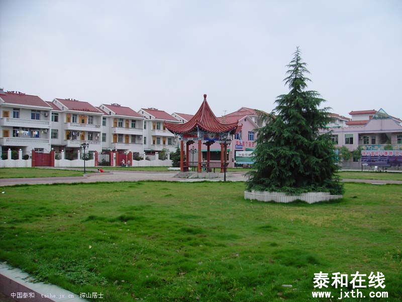 ccf.jpg