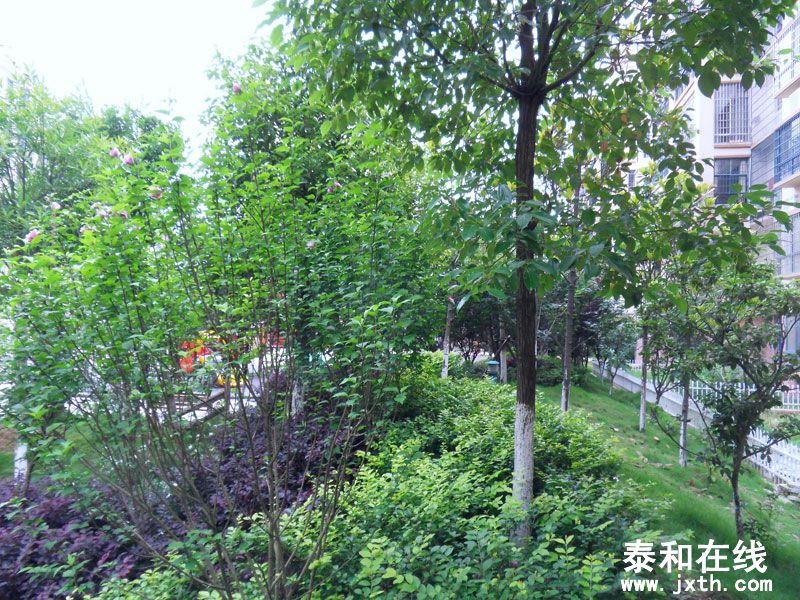 SDC10007.jpg