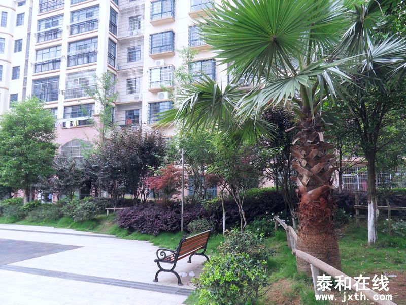 SDC10009.jpg
