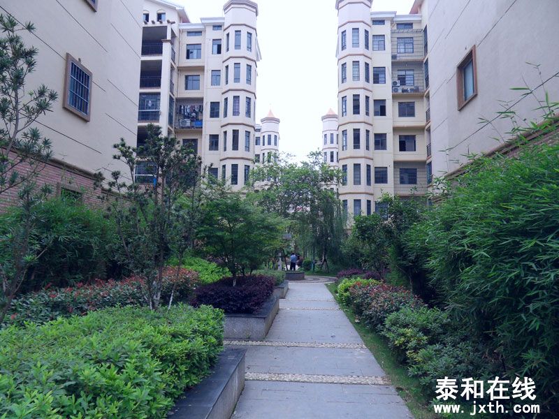SDC10010.jpg