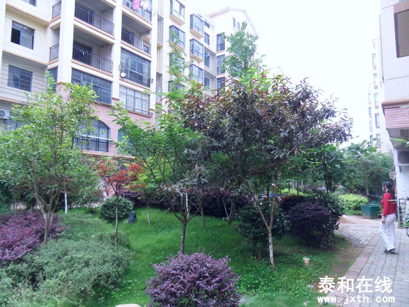 SDC10011.jpg