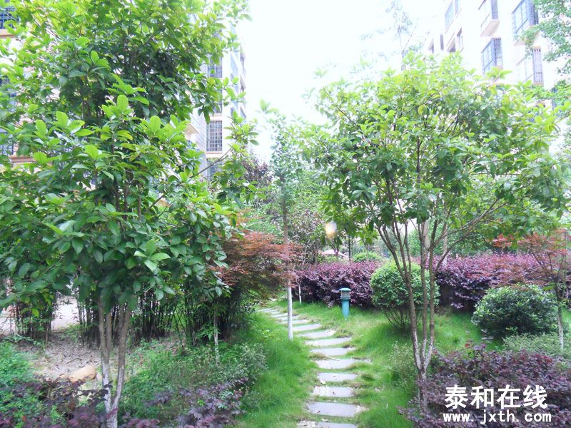 SDC10012.jpg