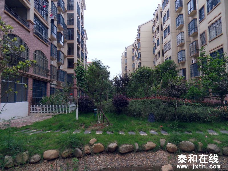 SDC10014.jpg