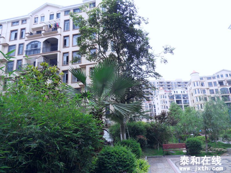 SDC10015.jpg
