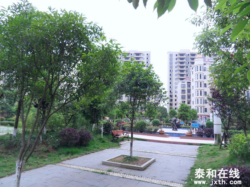 SDC10016.jpg