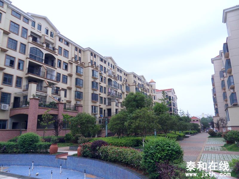 SDC10017.jpg
